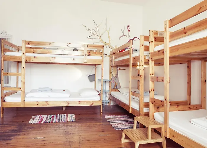 Auberge de jeunesse Chillout